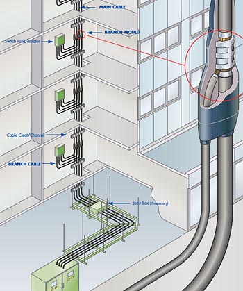 branch_cabling