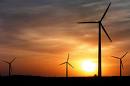 windfarm
